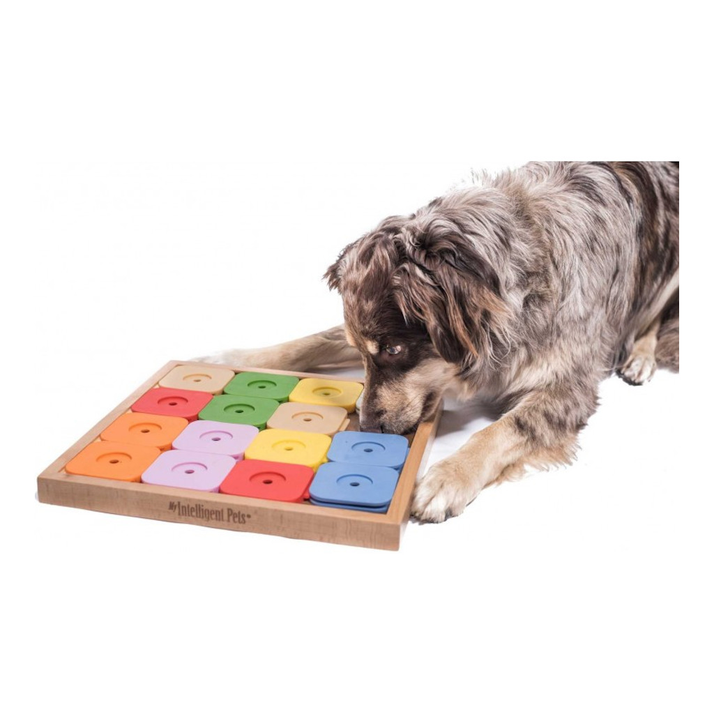 My Intelligent Dogs Dog SUDOKU Medium Genie Colour