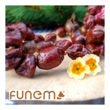 funem – Pferdebeisser S