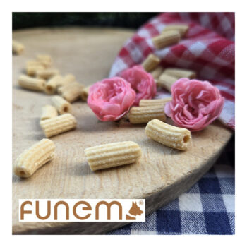 funem Kokosnudeln