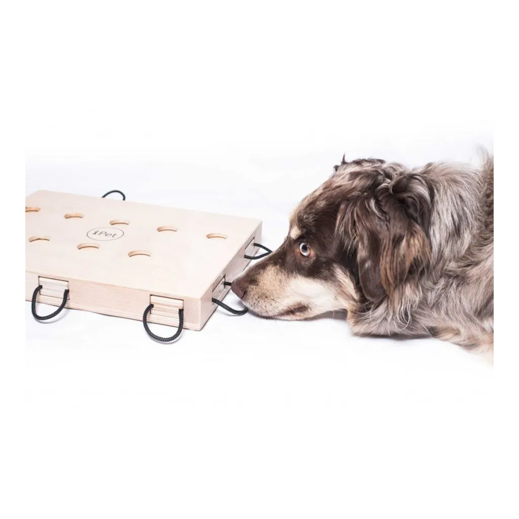 My Intelligent Dogs iPet Ein Laptop für Hunde-seitenansicht