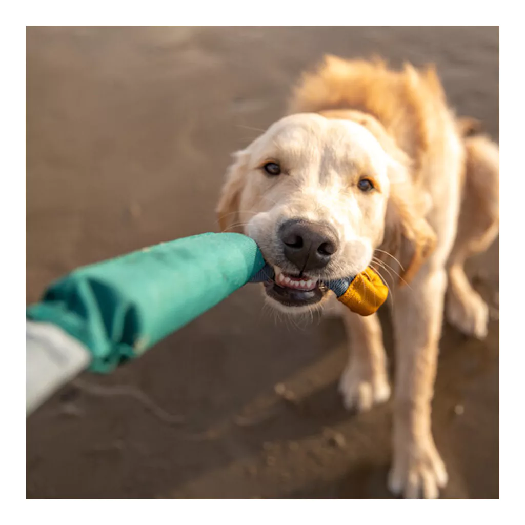 Ruffwear Pacific LOOP-draufsicht