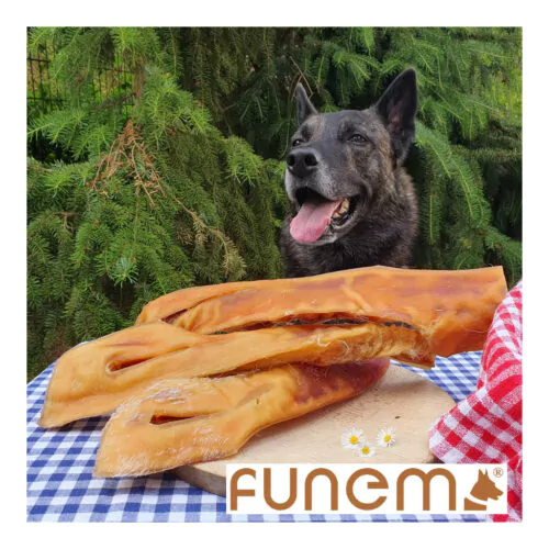 funem Rinderkopfhaut 30cm-Hund