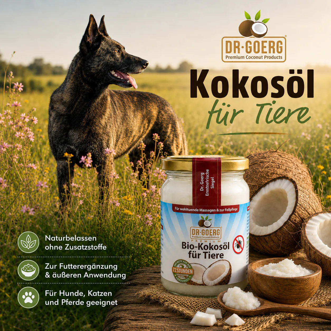Hund auf Wiese neben Dr. Goerg Kokosöl für Tiere