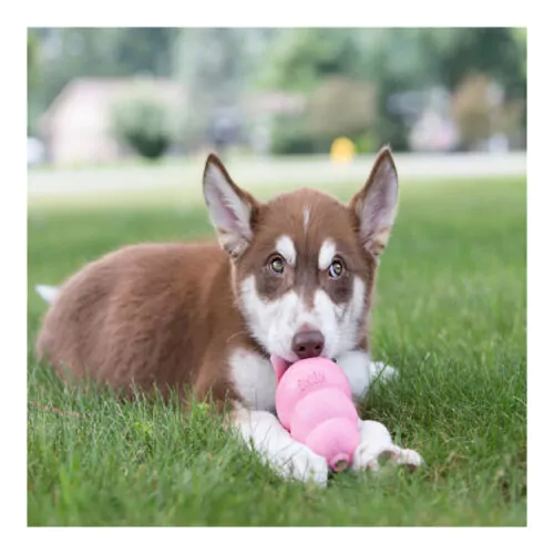 KONG Puppy Welpenspielzeug-vorderansicht