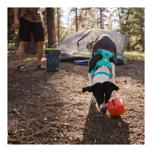 Ruffwear Gnawt-A-Rock-draufsicht