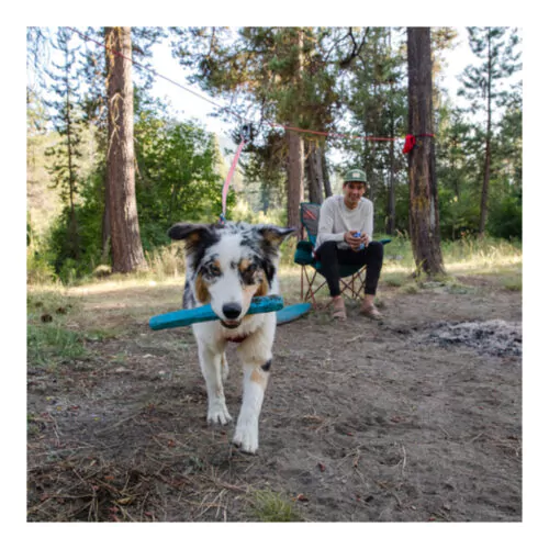 Ruffwear Gnawt a Stick-draufsicht