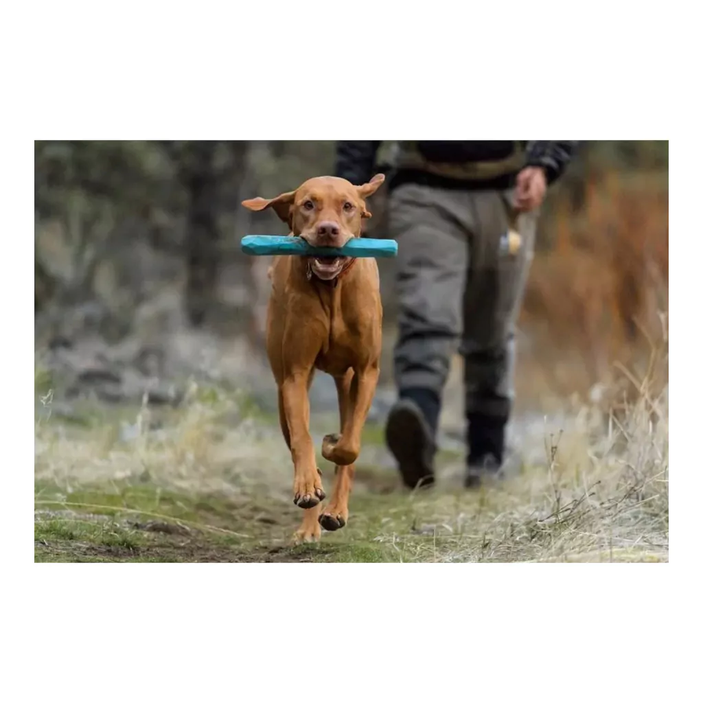 Ruffwear Gnawt a Stick