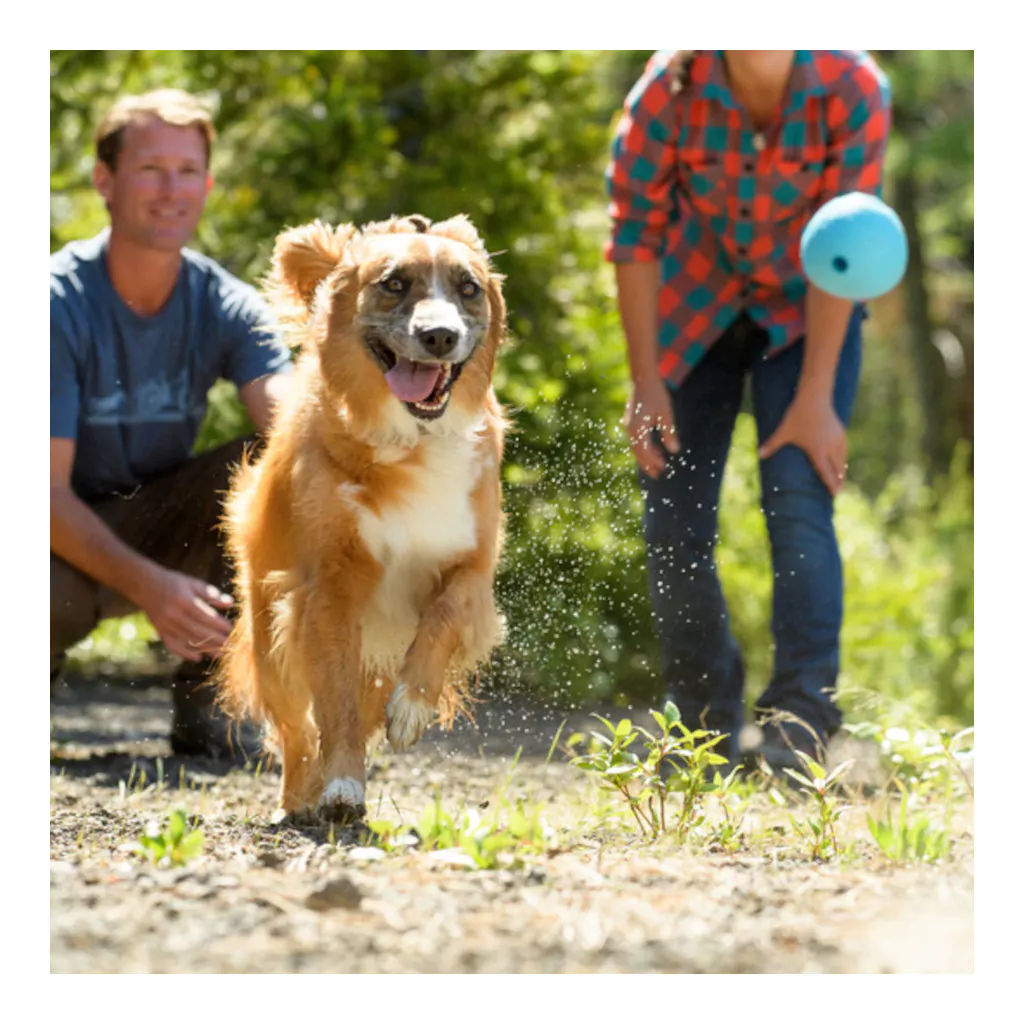 Ruffwear Huckama-seitenansicht