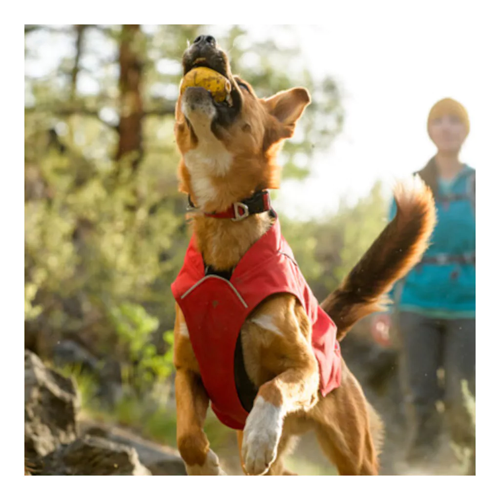 Ruffwear Turnup-draufsicht