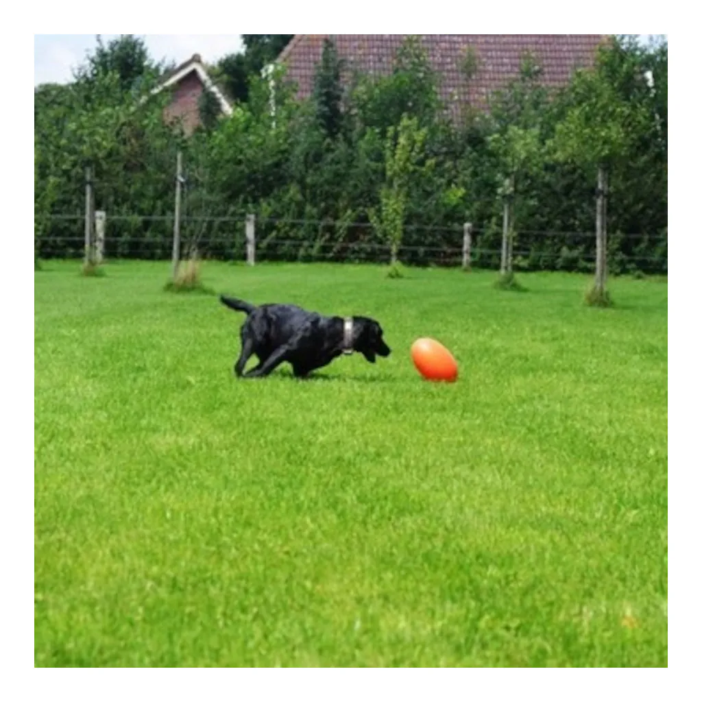 Dog Comets Pan-Stars