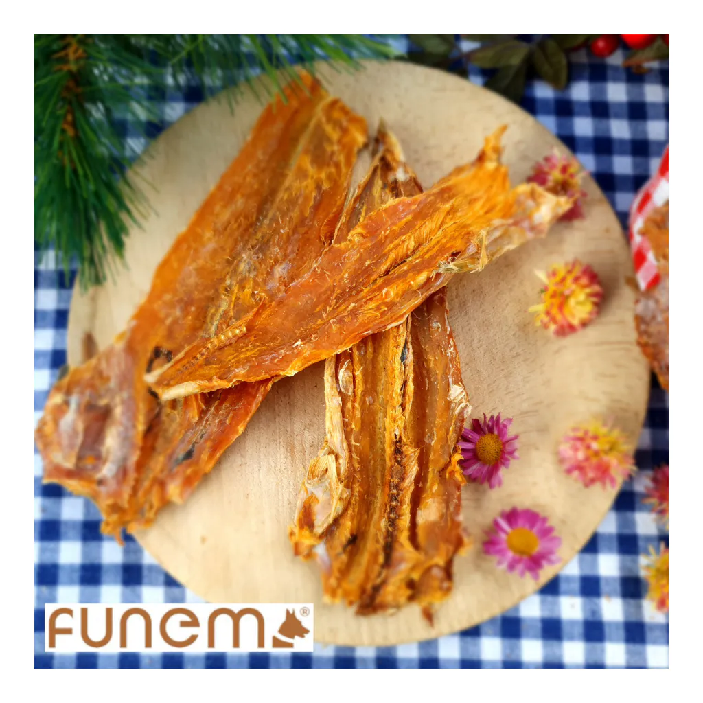 funem Lizardfisch-draufsicht