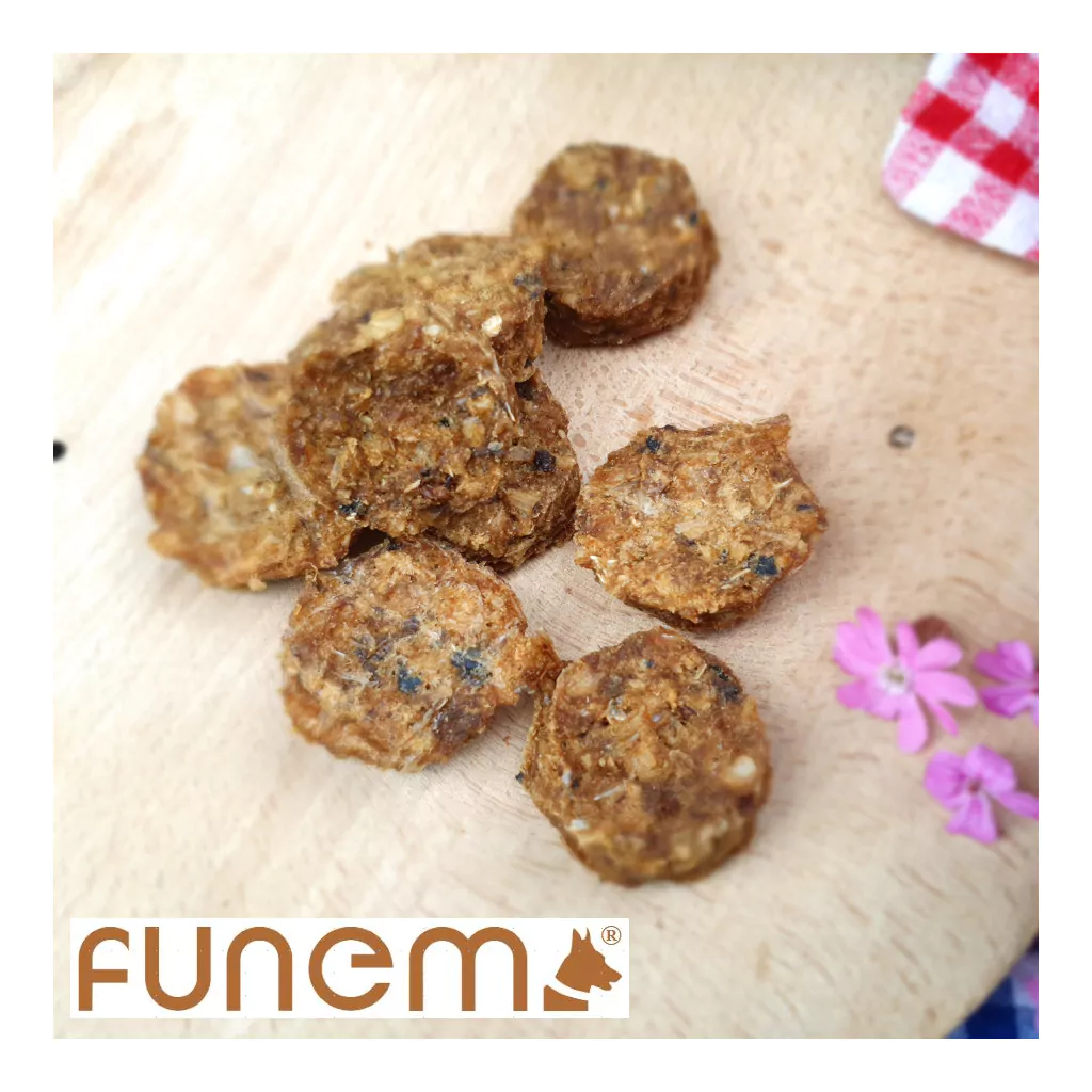 funem - Lachs - Frikadellen-draufsicht