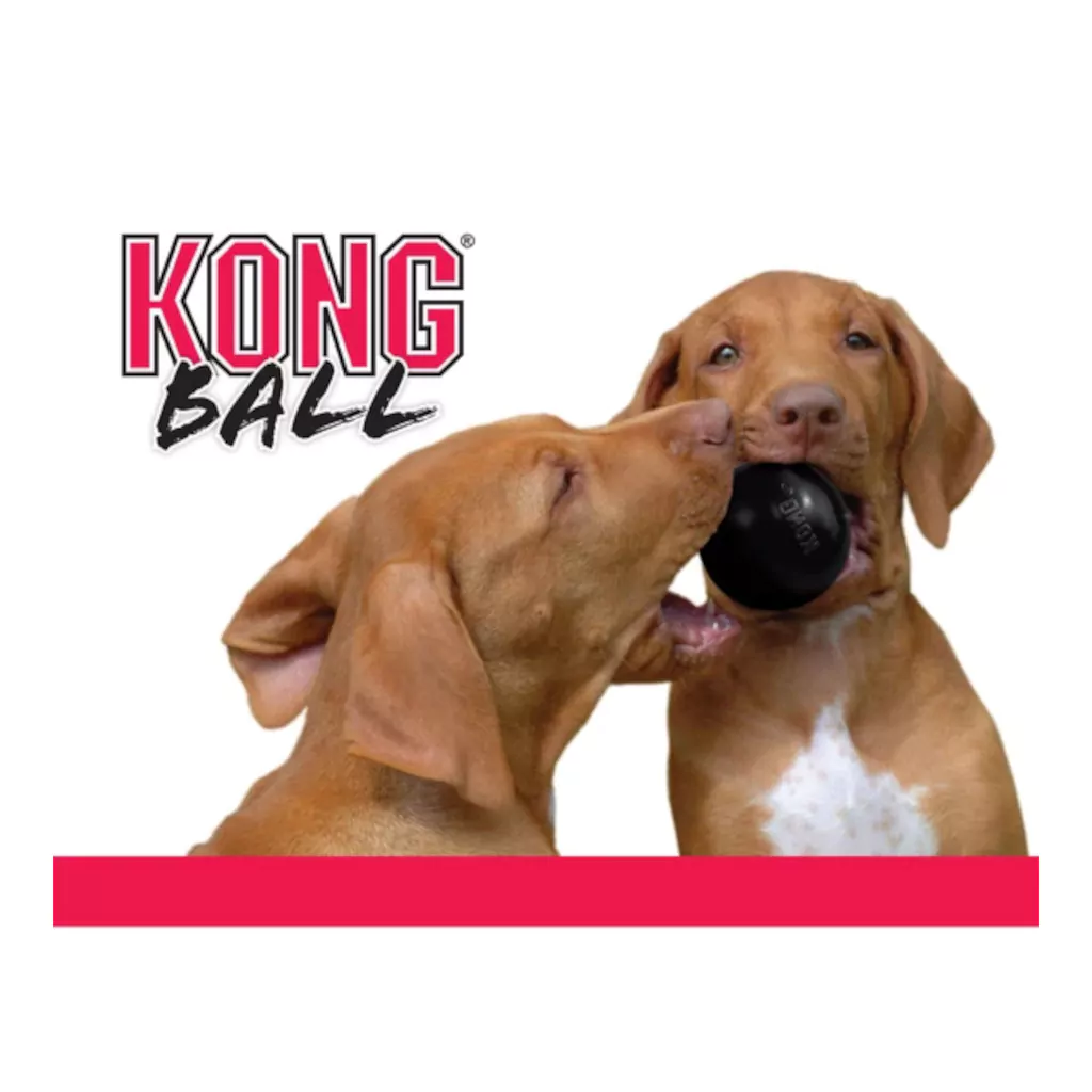 KONG Ball Extreme-draufsicht