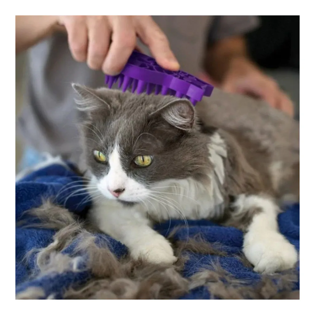 KONG Cat Zoom Groom-mit Katze