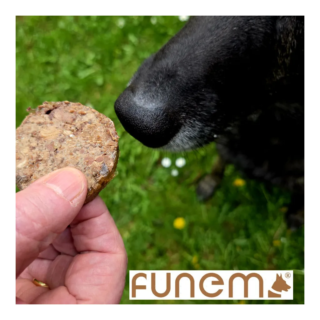 my Appetizer Lamm - 2