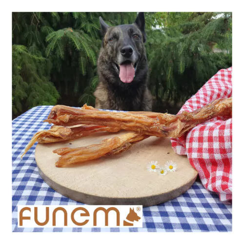 funem Rindersehnen-mit Hund