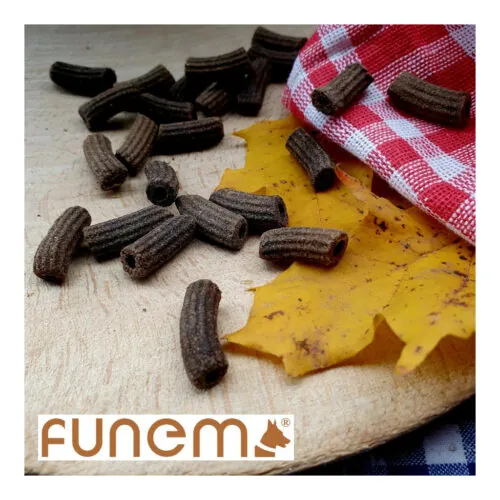 funem Insektennudeln