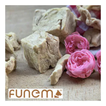 funem Kaninchen Freeze