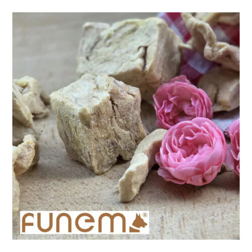 funem Kaninchen Freeze