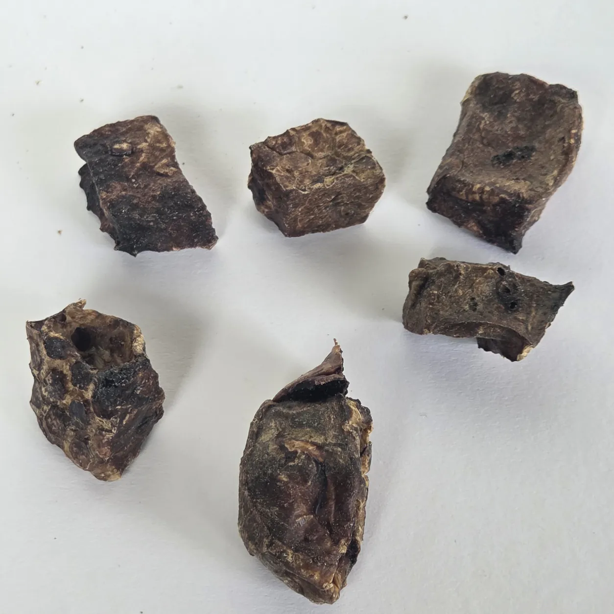 Lammlungenwürfel 2 x 2 cm freigestellt